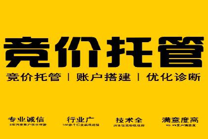 成功案例：一家初创企业如何通过百度关键词推广快速崛起
